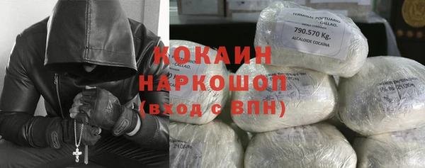 шишки Майский