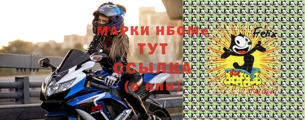 шишки Майский
