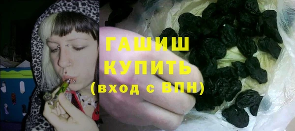шишки Майский