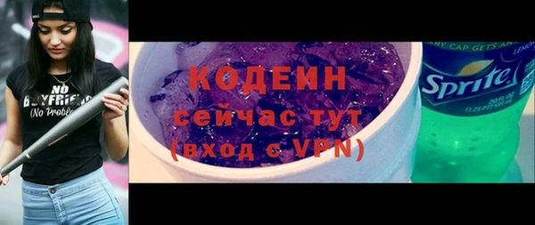 шишки Майский