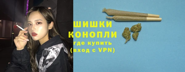 шишки Майский
