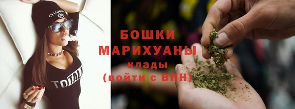 шишки Майский
