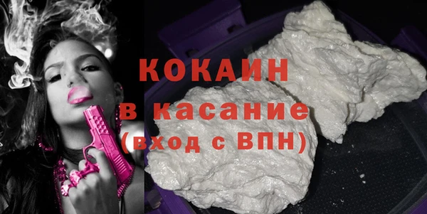 шишки Майский