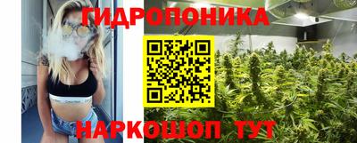 сатива Пенза