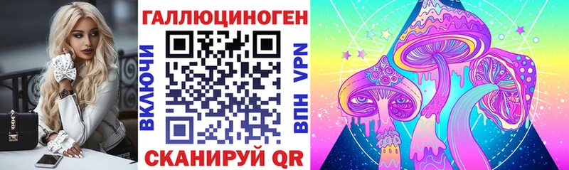 Галлюциногенные грибы MAGIC MUSHROOMS  магазин продажи   Чита 