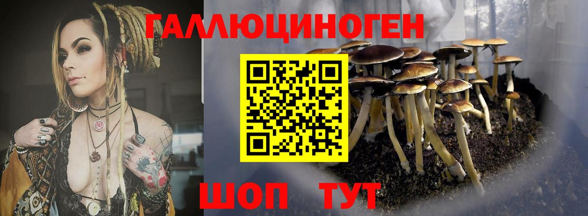 Псилоцибиновые грибы MAGIC MUSHROOMS Чита
