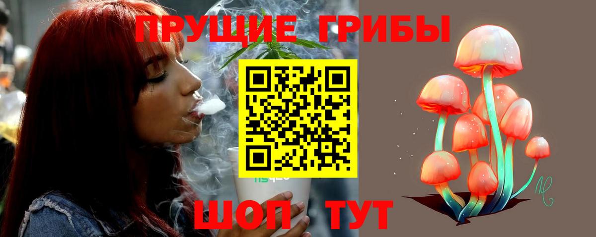 Чита  Галлюциногенные грибы Psilocybine cubensis  закладка  Галлюциногенные грибы MAGIC MUSHROOMS  Вход с VPN 